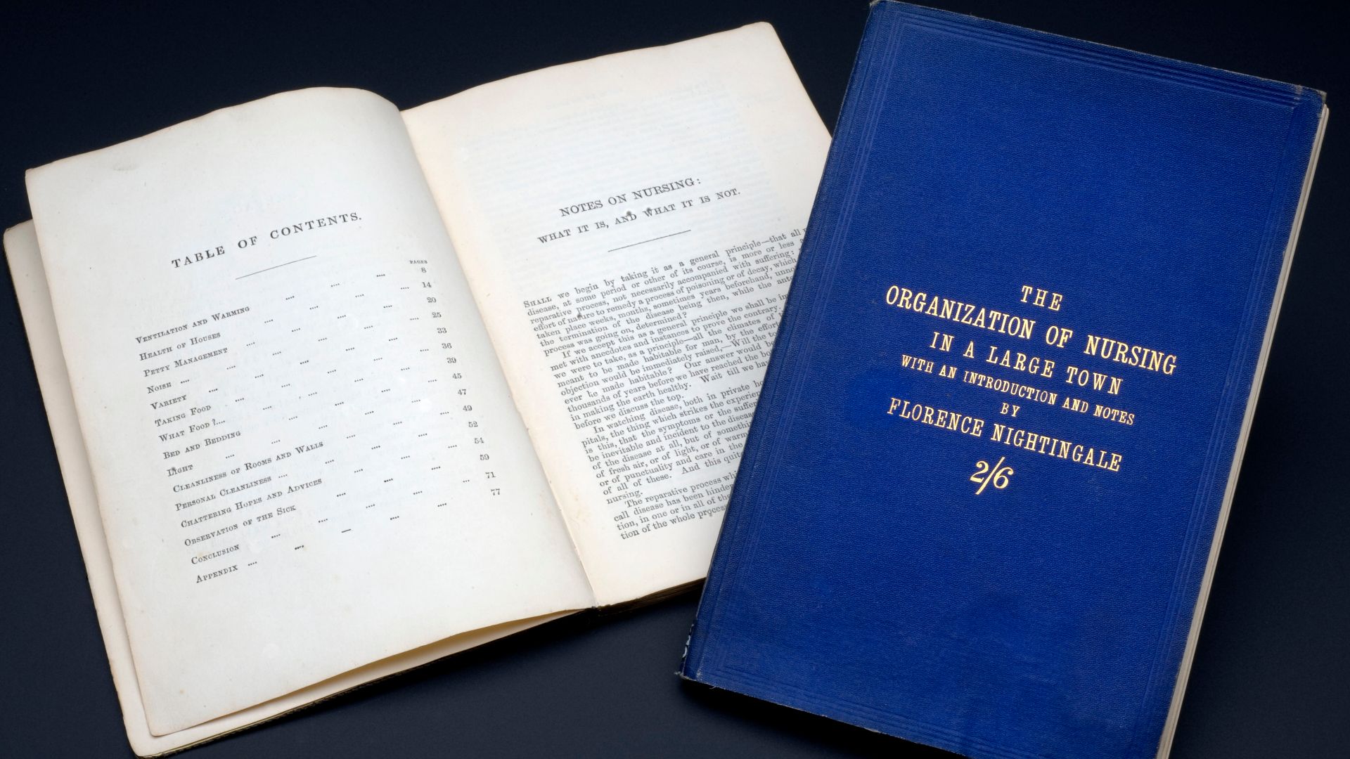 File:'The Organisation of Nursing' by Florence Nightingale Wellcome L0060503.jpg