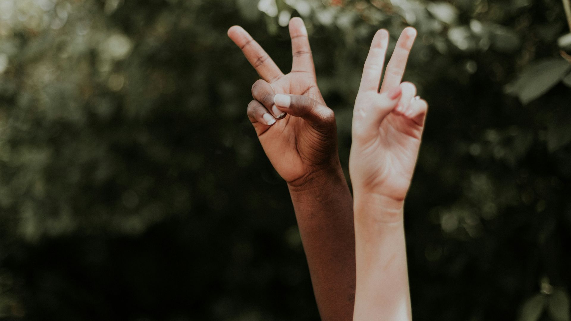 persons hand with white snow