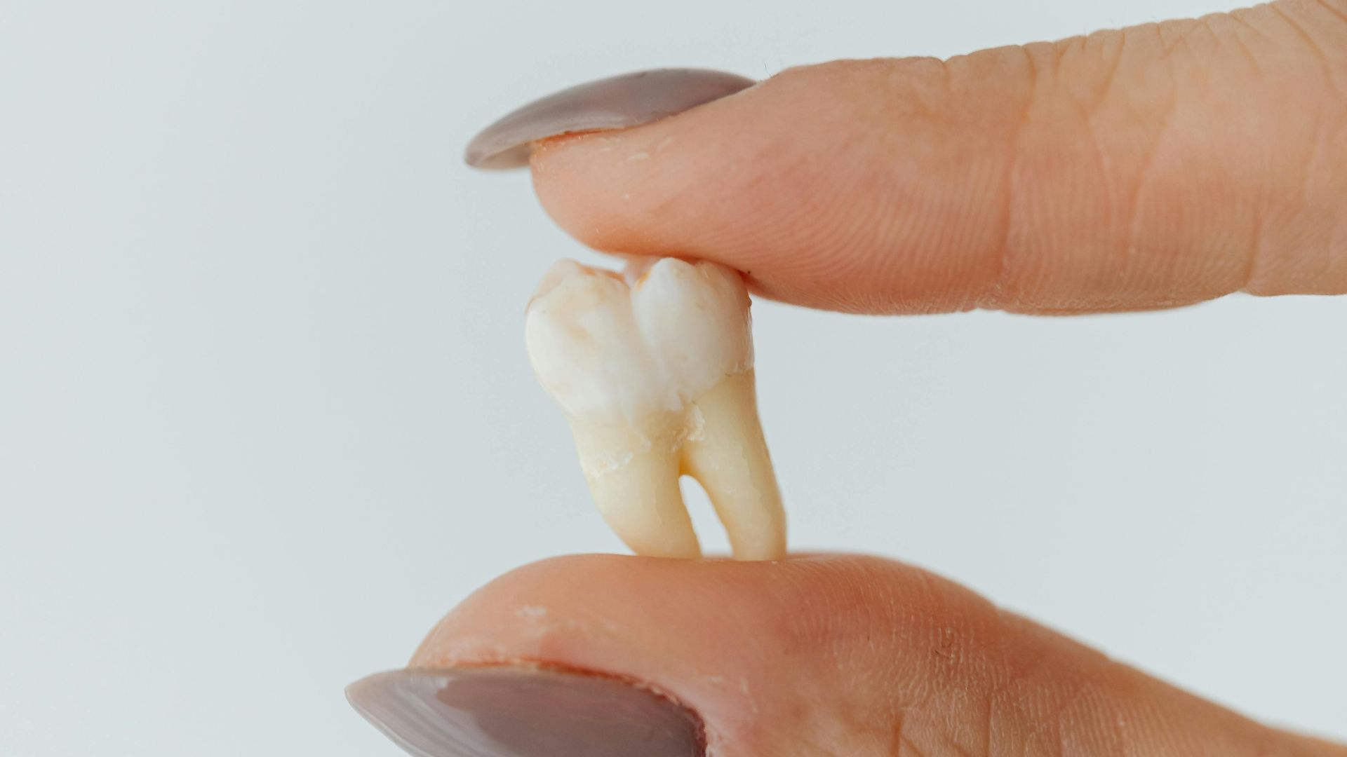 Photo By: Kaboompics.com