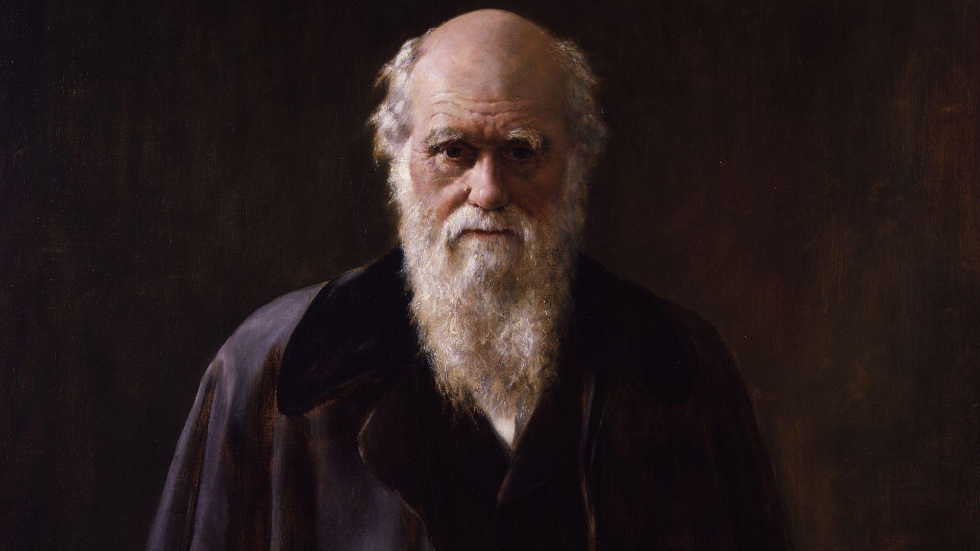 File:Charles Robert Darwin by John Collier.jpg
