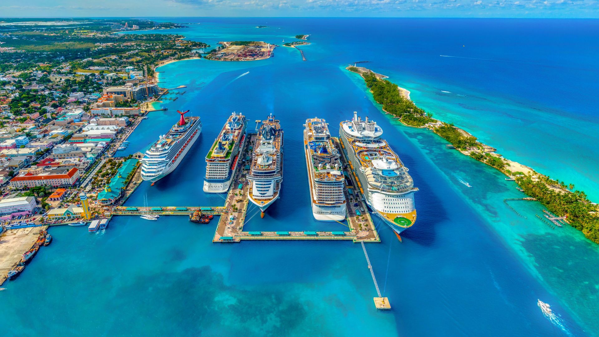 aerial photography of white and blue cruise ships during daytime