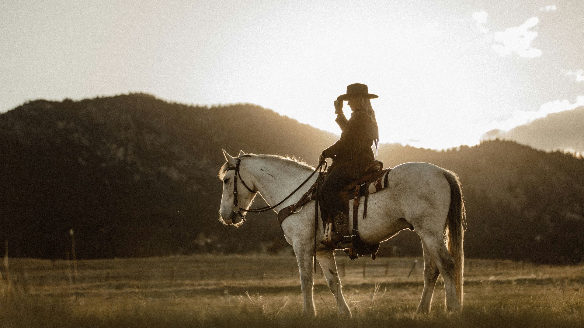 man riding on white horse during daytime