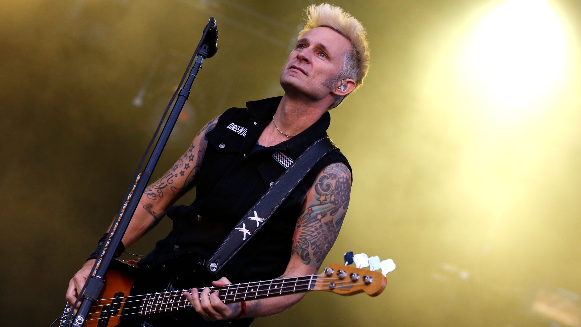 File:RiP2013 GreenDay Mike Dirnt 0001.JPG