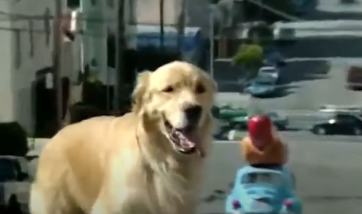 Screenshot from Full House (1987–1995)