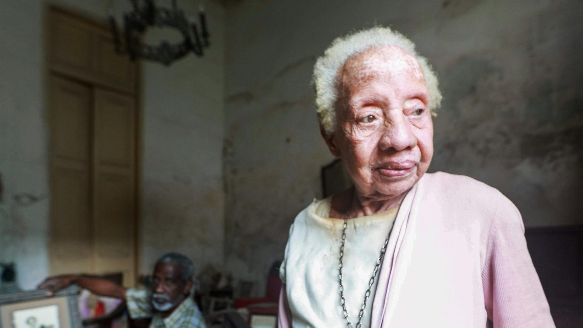 Mehmet Turgut  Kirkgoz