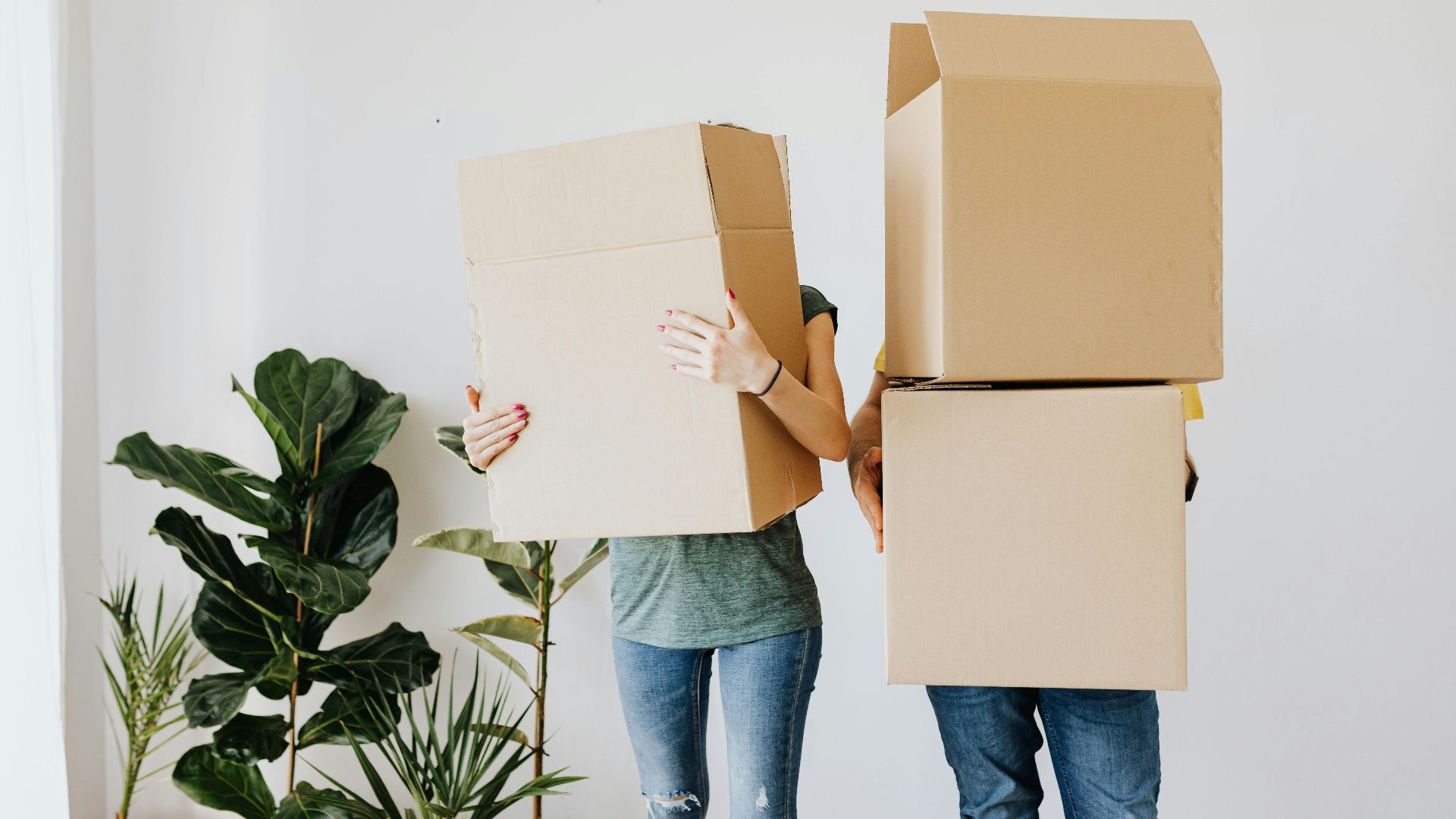 Photo By: Kaboompics.com