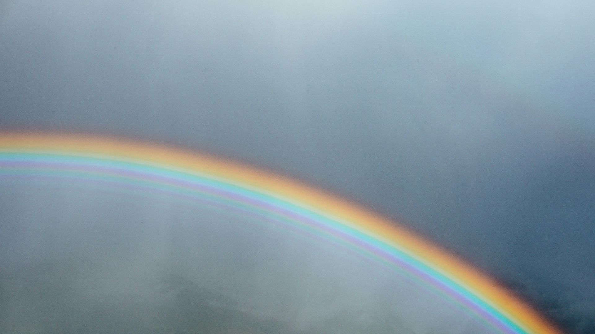 green grass field under rainbow
