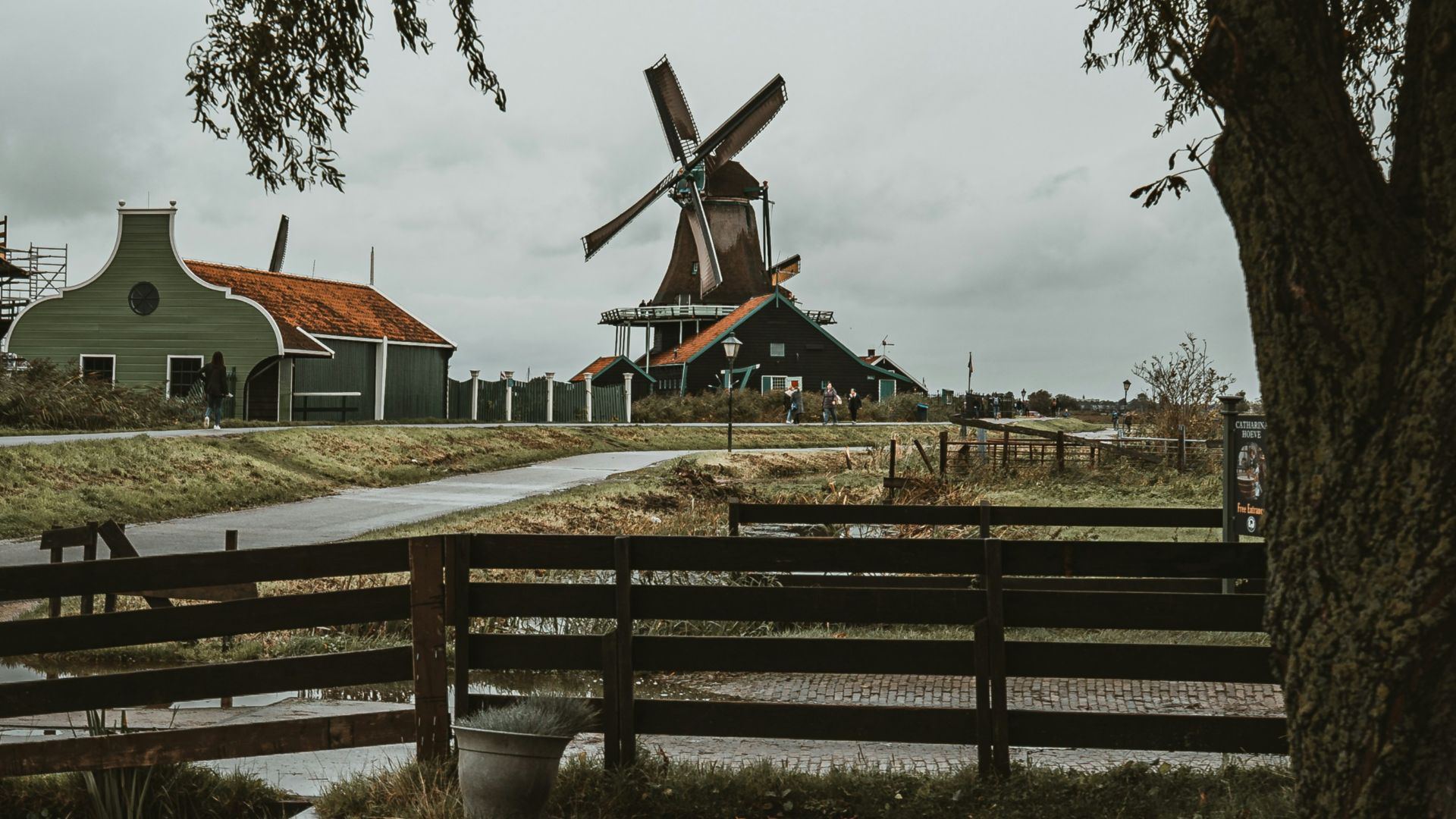 brown and grey windmill during daytime
