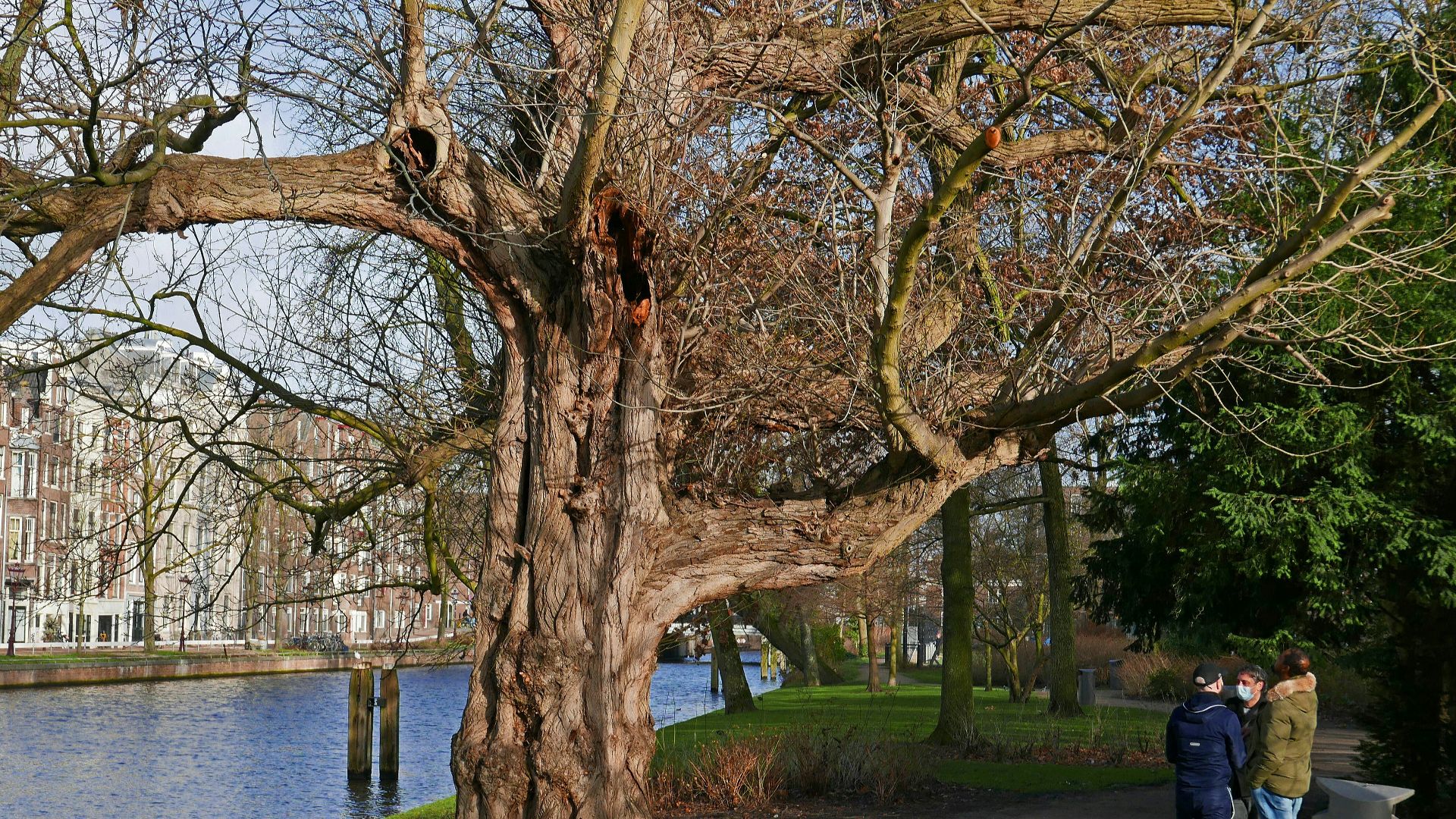 a couple of people standing next to a tree near a body of water