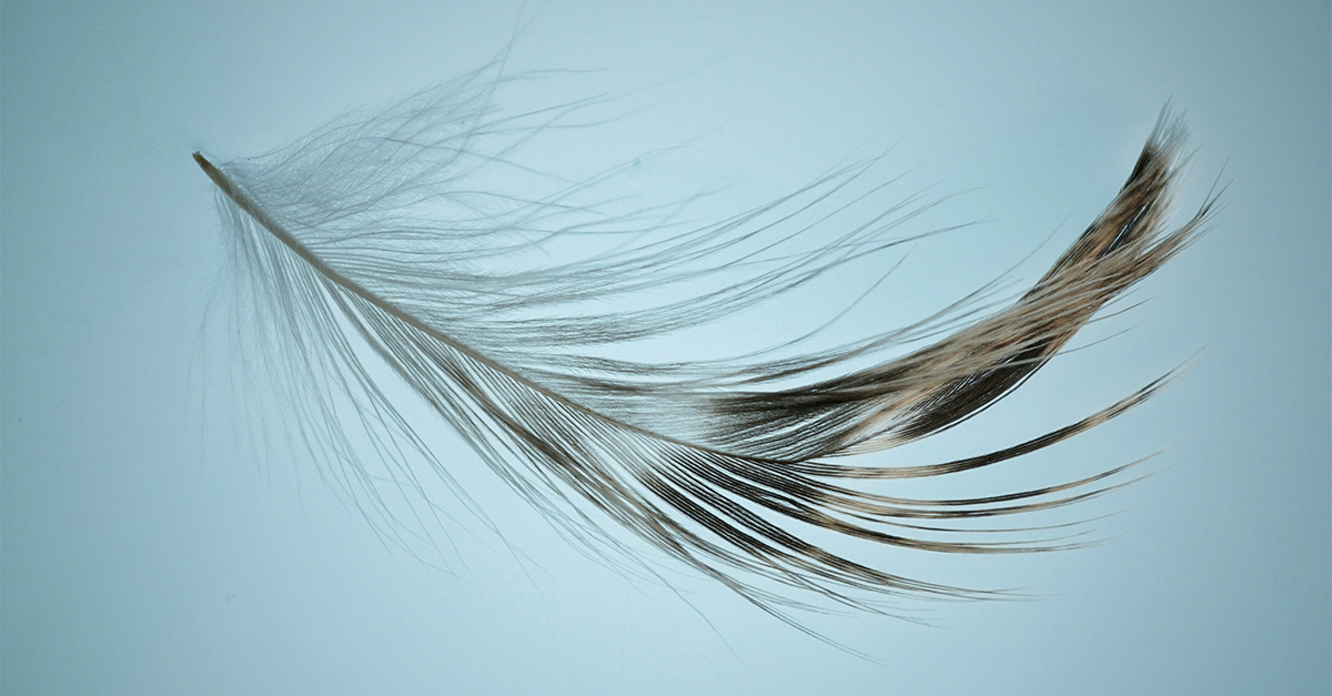 What is easy to lift but hard to throw?