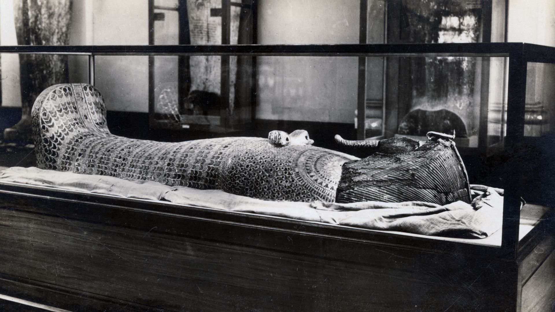 File:Cairo, Egyptian Museum, Antiquities, photo 91 of 97 - Archivio fotografico Museo Egizio, Turin Album3 093 (cropped).jpg