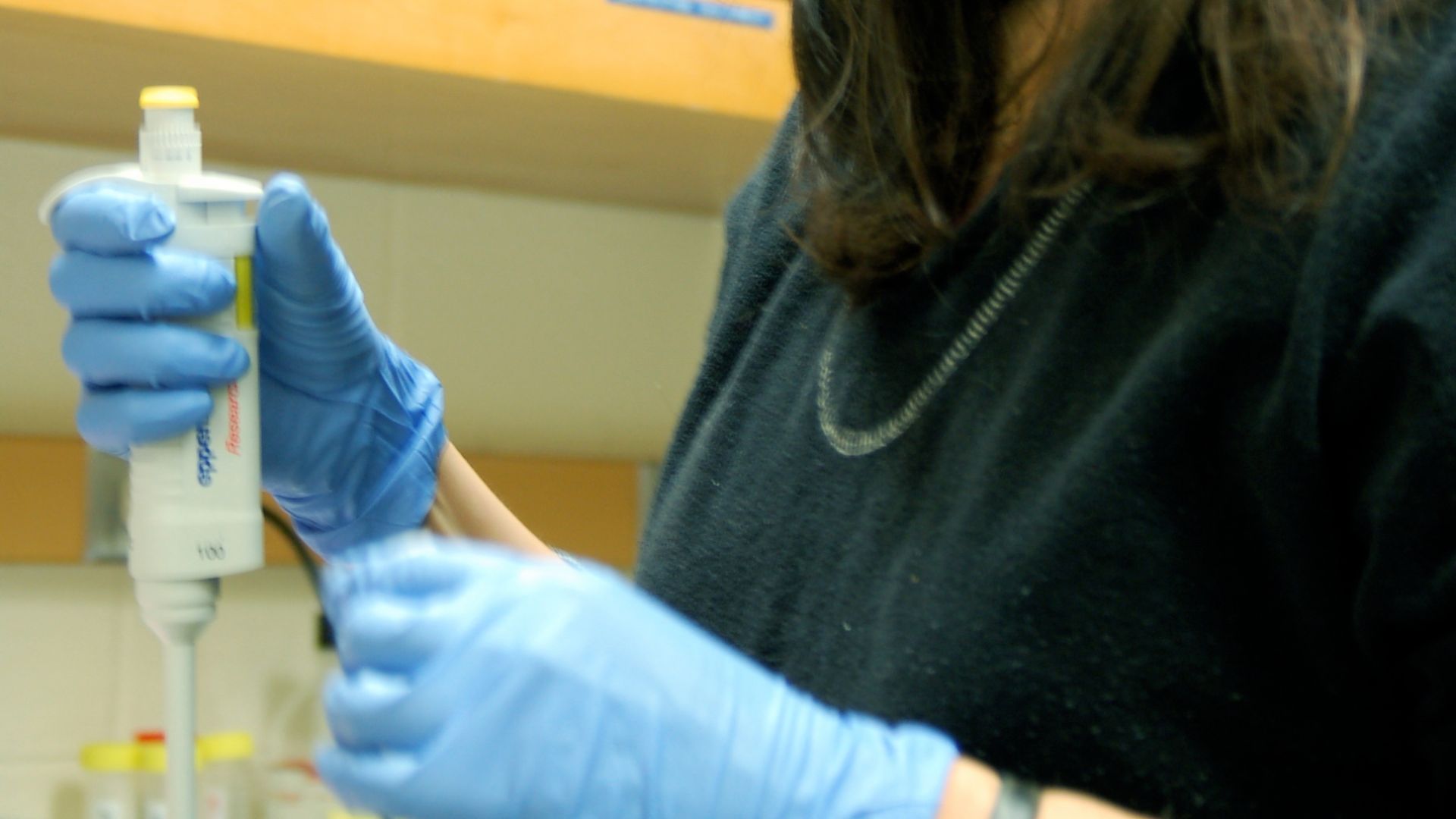 File:Female scientist samples DNA for a round in the thermocycler, as preparation for a polymerase chain reaction (PCR).jpg