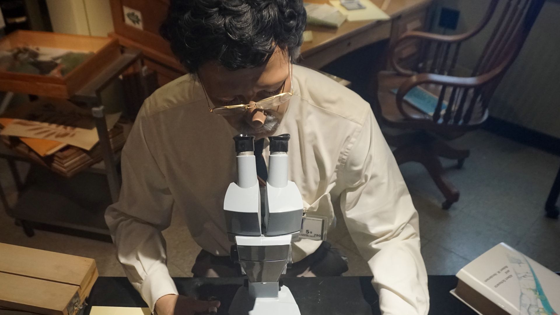 File:Milwaukee Public Museum October 2023 07 (Rainforest--Today's Scientist- In the Museum).jpg