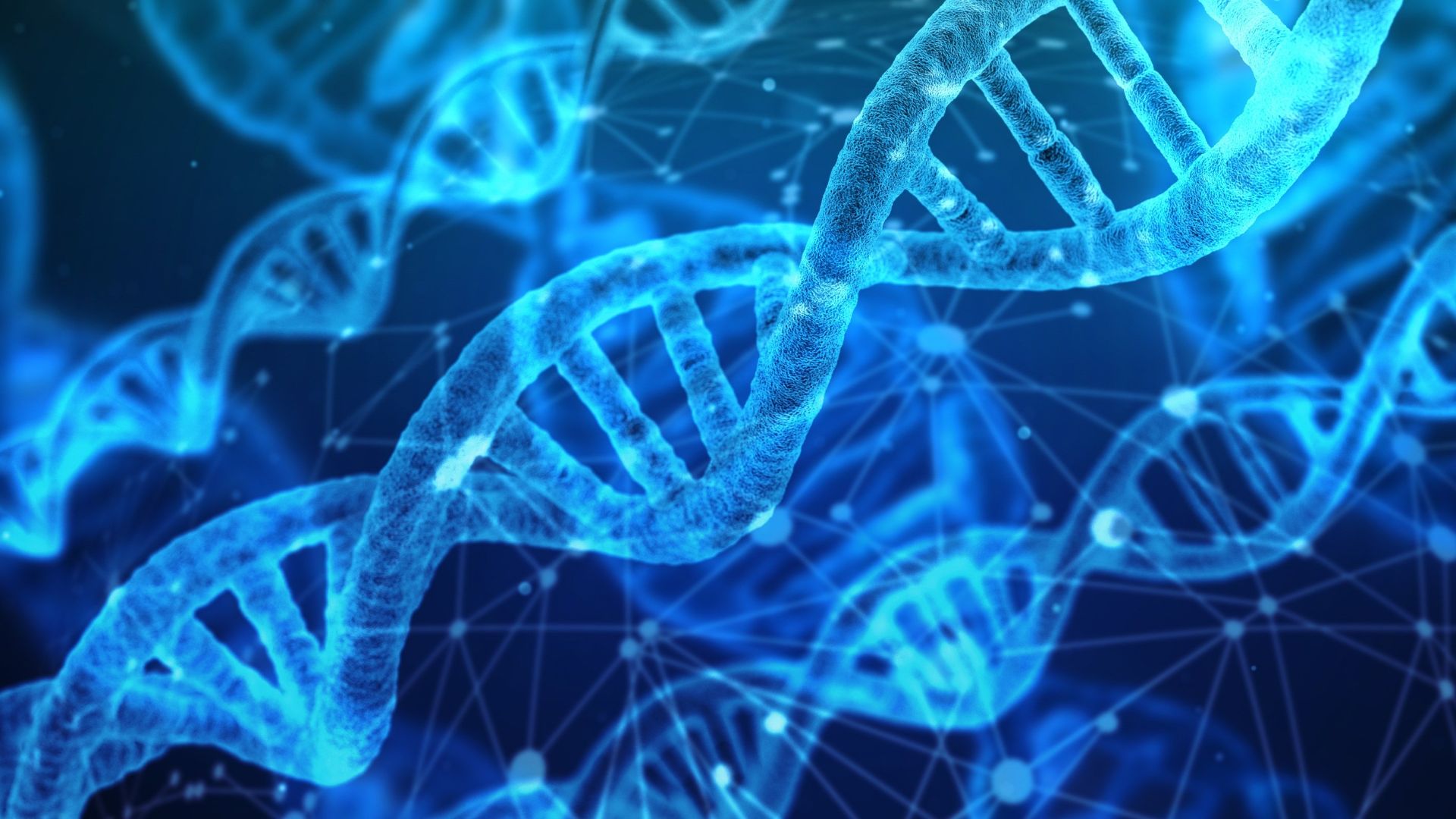 File:DNA strands.jpg