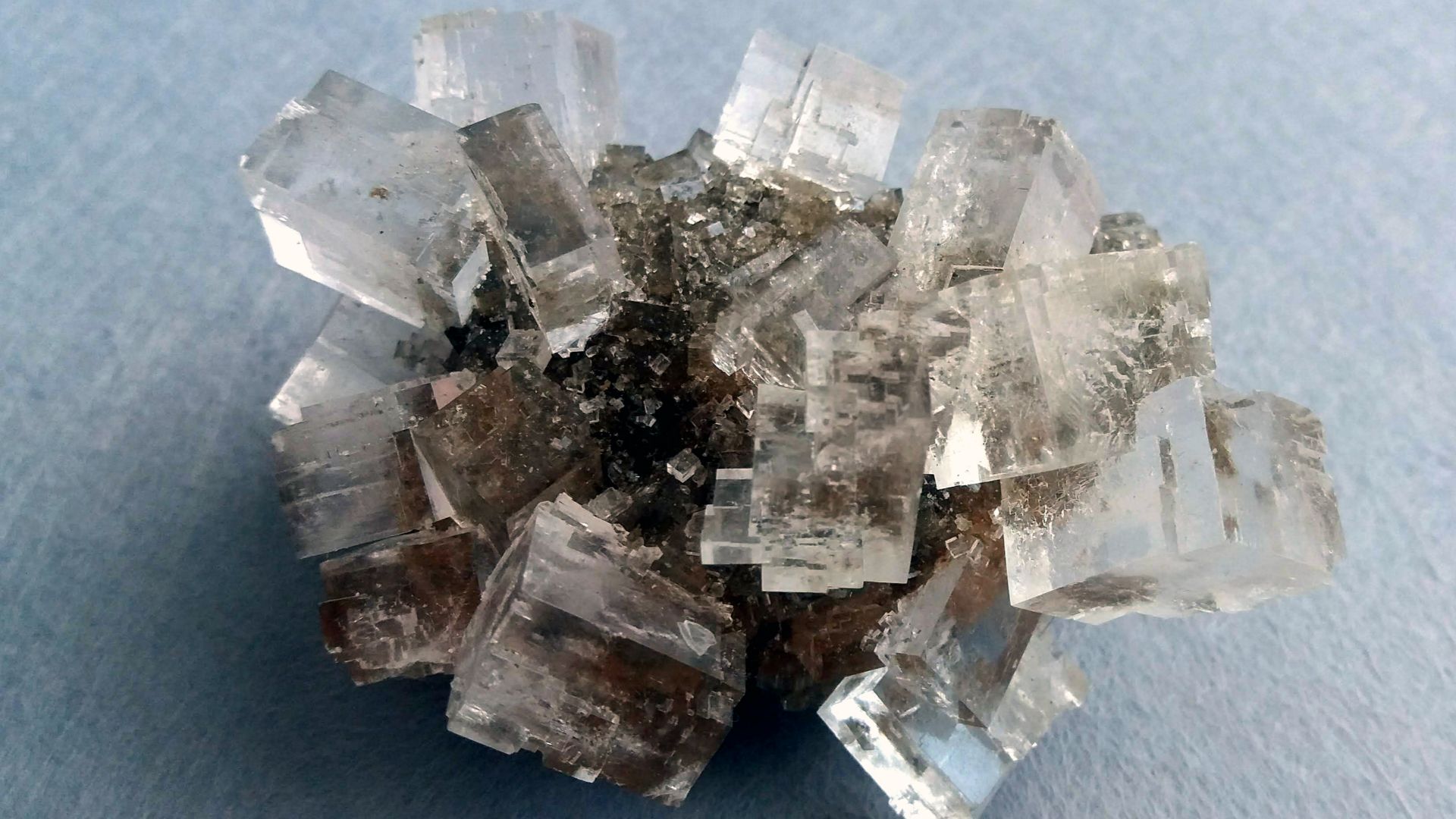 File:Crystals Halite on matrix.jpg