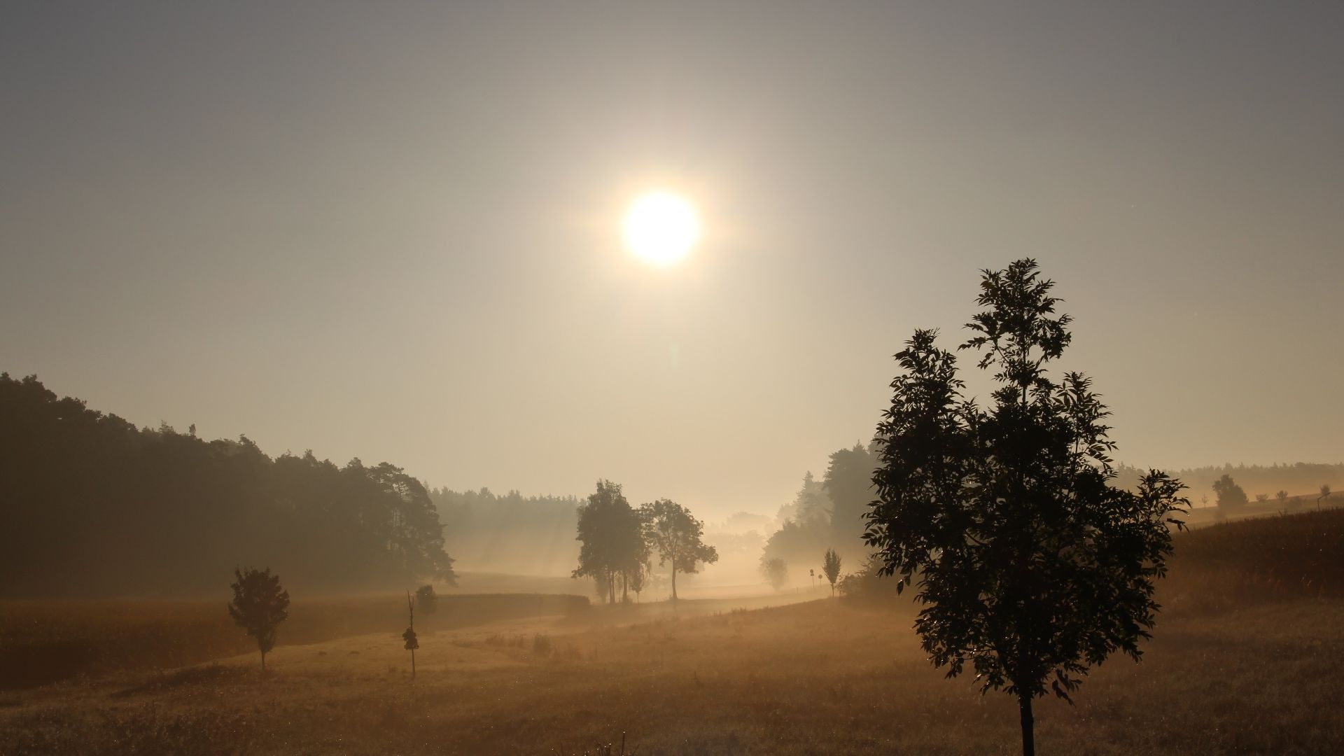 File:Sun over a hazy field (Unsplash).jpg