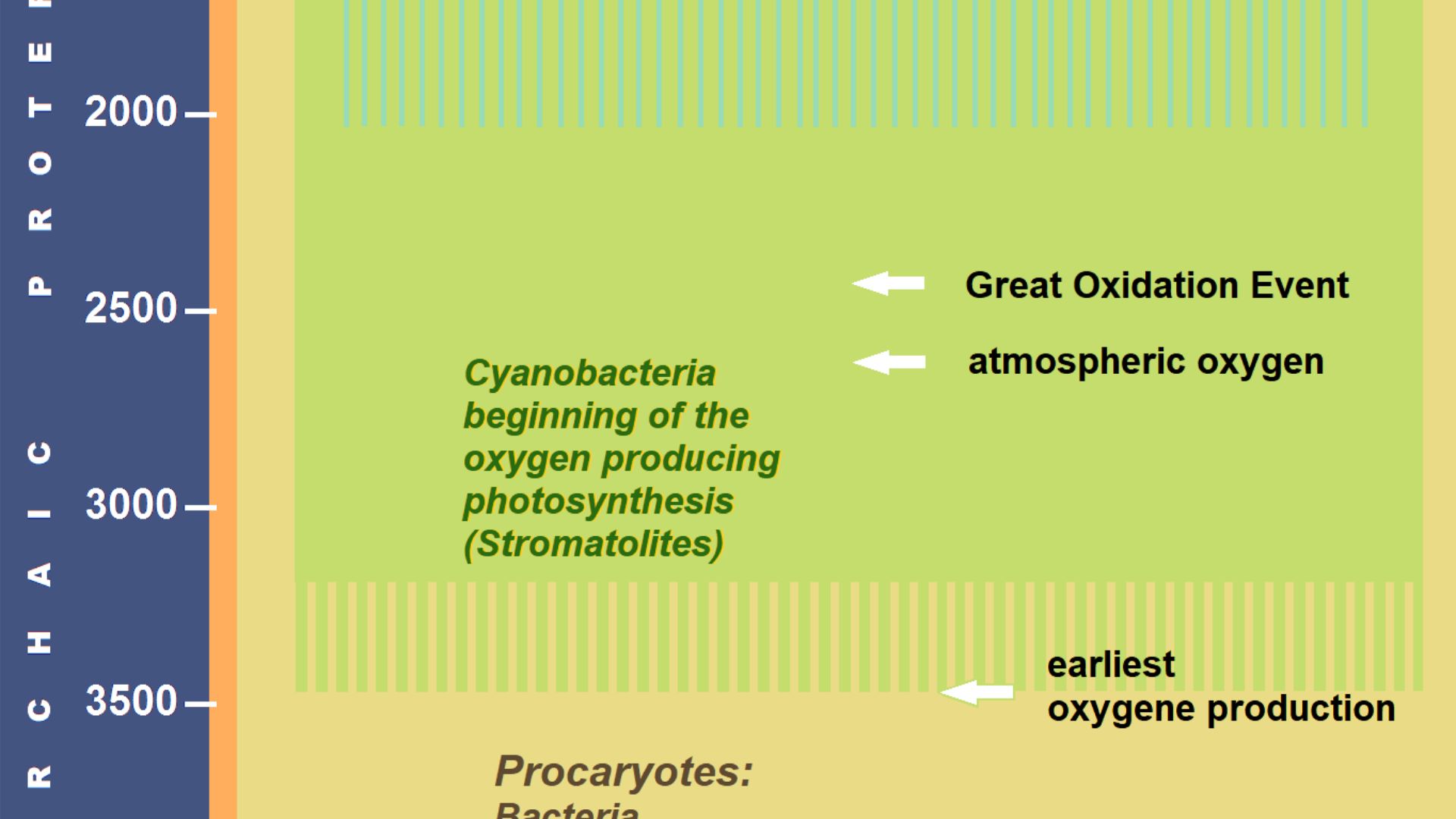 File:Precambrian Evolution of Life.png