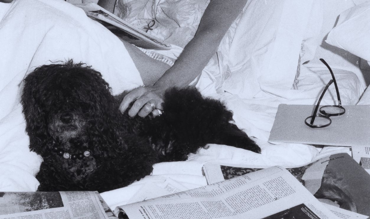Gettyimages  - 660267195, Author Jacqueline Susann Jacqueline Susann in bed with her poodle Josephine at the Hotel Navarro on Central Park South, New York City, New York, May 11, 1969. 
