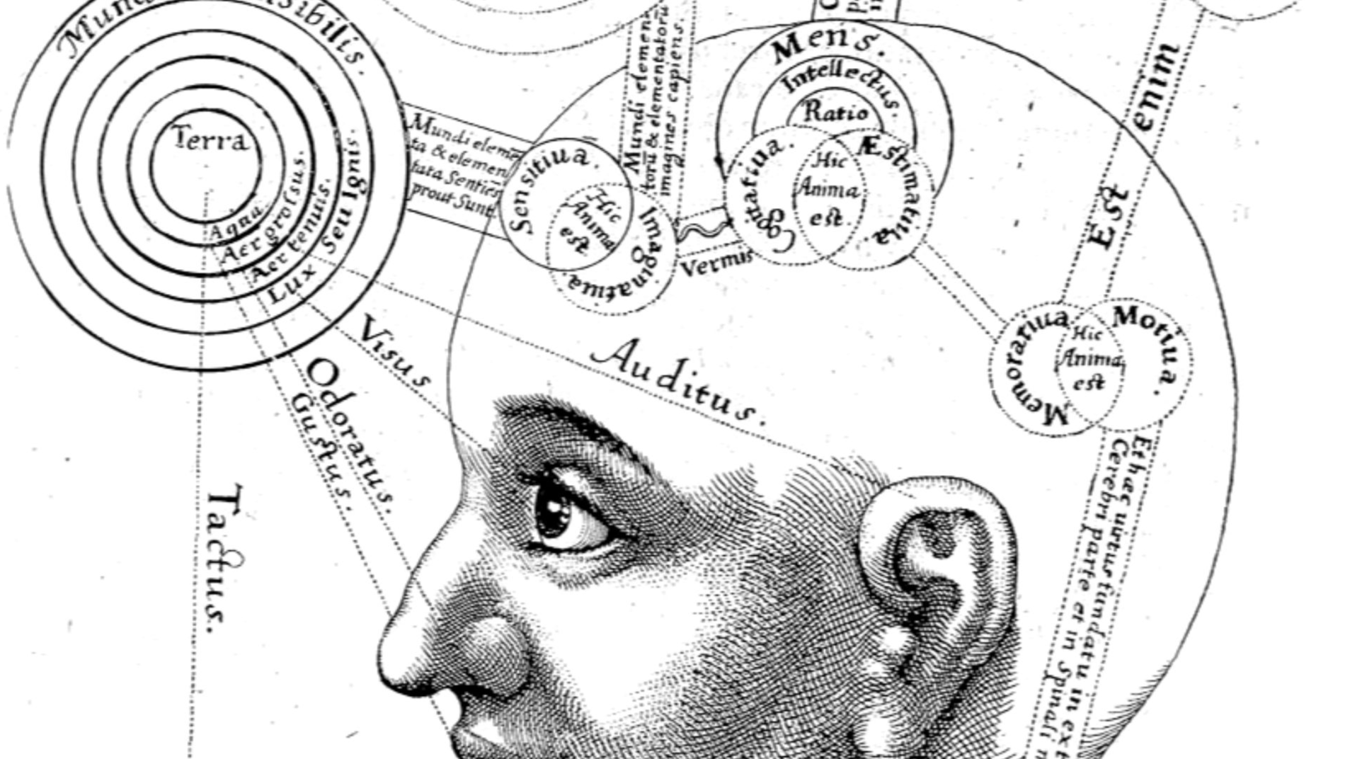 File:RobertFuddBewusstsein17Jh (cropped).png