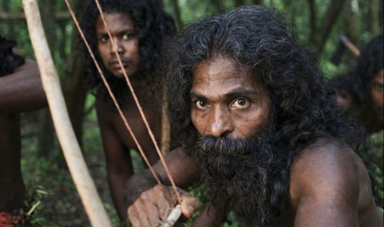 Hunter Gatherers - Intro