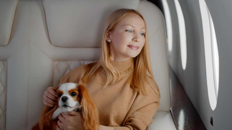 Entitled flight passengers