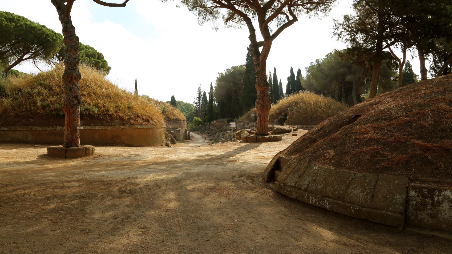 File:Cerveteri, necropoli della banditaccia, via sepolcrale principale, 01.jpg