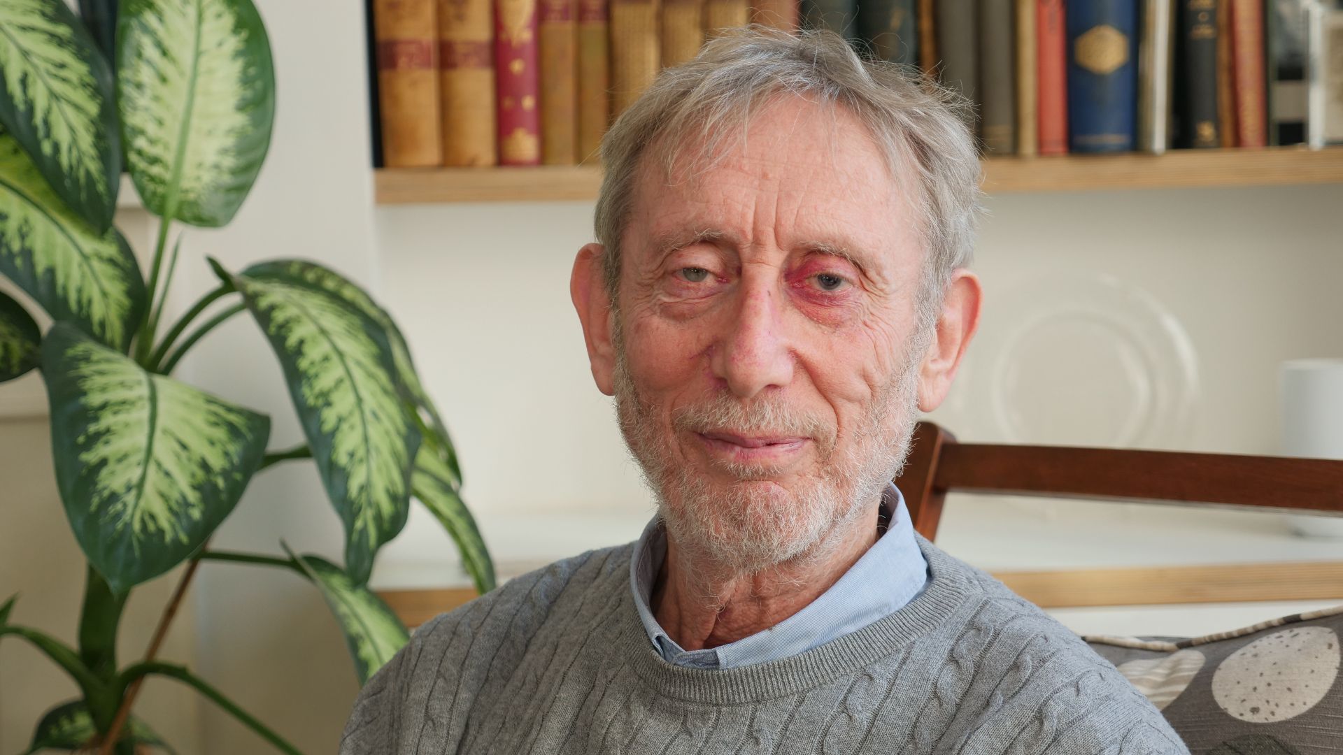 File:MICHAEL ROSEN 2022 (5).jpg