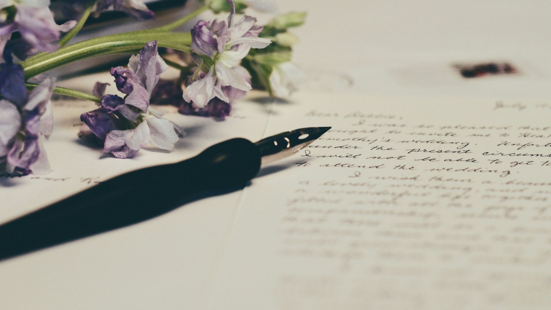 purple flowers on paper