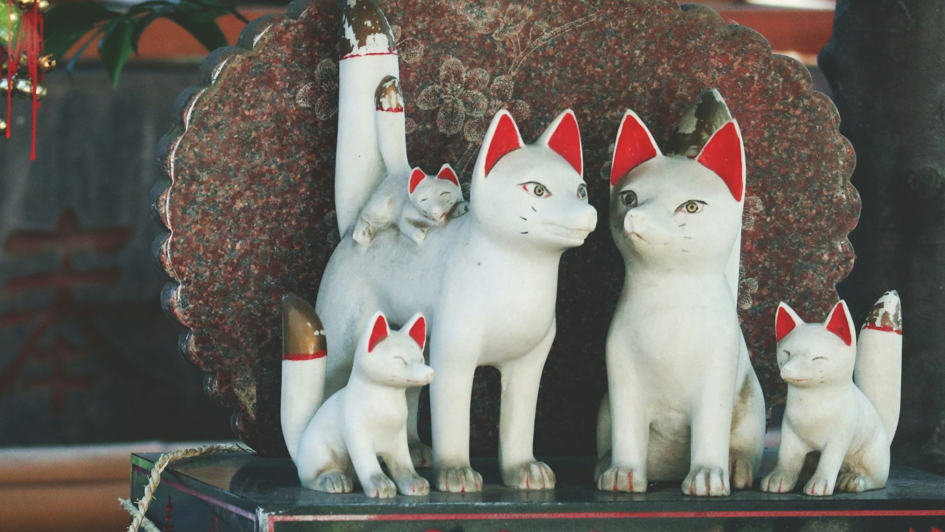 a group of white cats sitting on top of a table