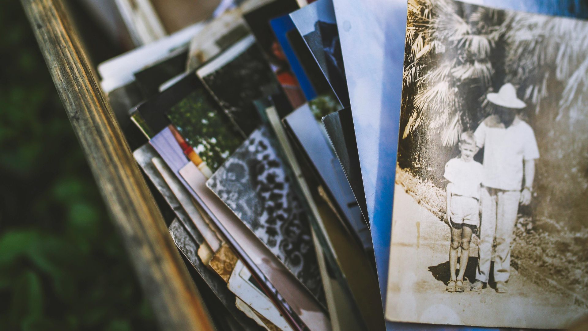 Karolina Grabowska www.kaboompics.com