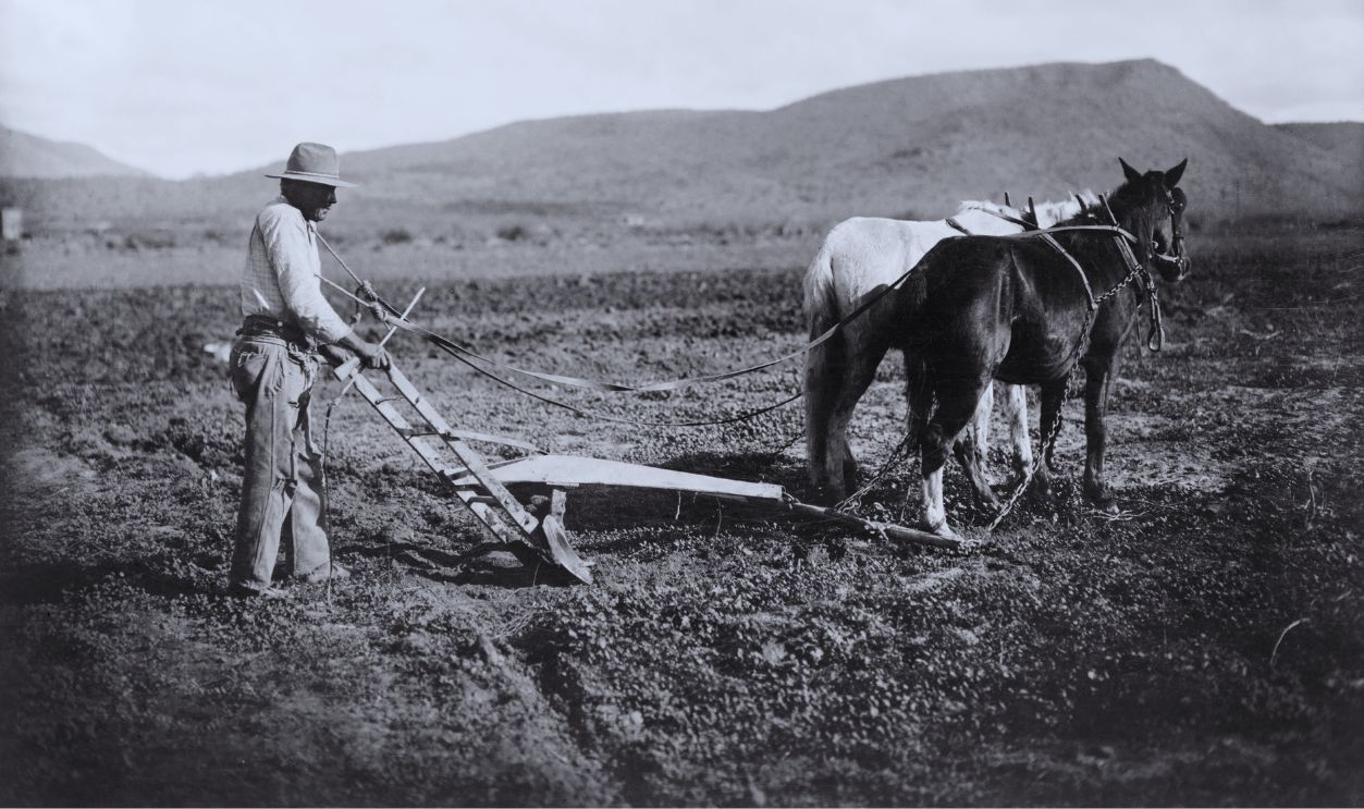 Gettyimages - 1140407093, Man Plowing Field, Salt River Project, Sacaton, Arizona, USA, National Photo Company, 1910's