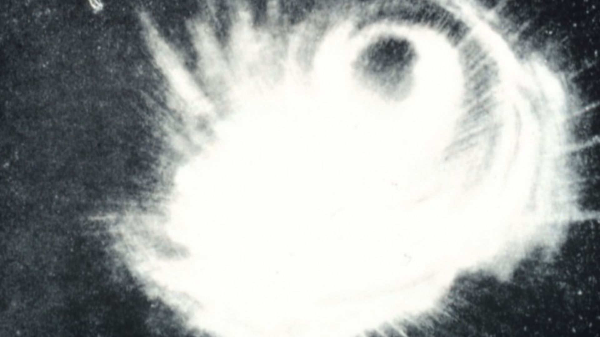 File:Typhoon Cobra, 18 December 1944 east of Luzon.jpg