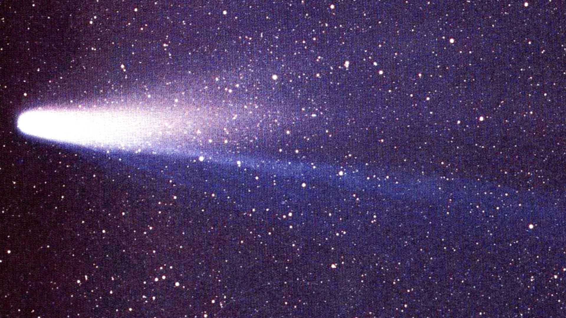 File:Lspn comet halley (cropped).jpg