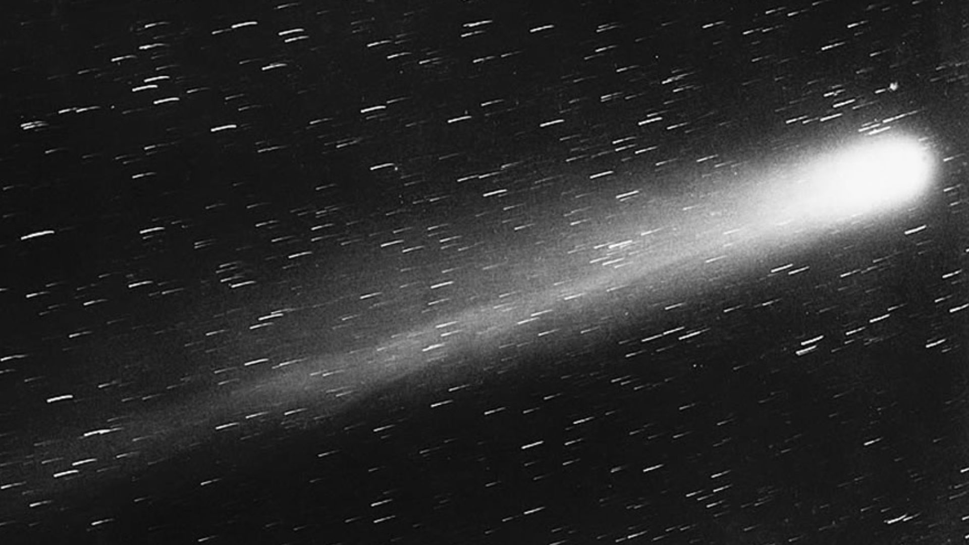 File:Halley's Comet - May 29 1910.jpg