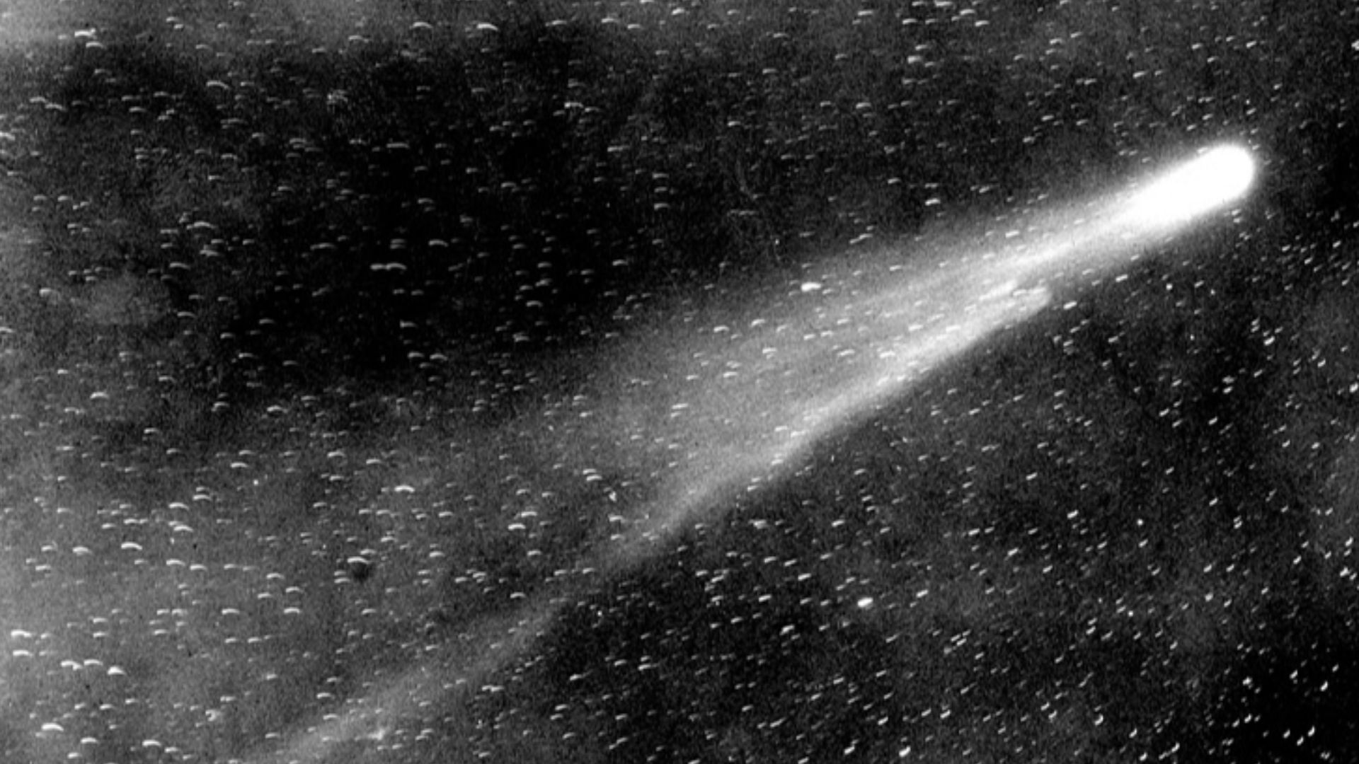 File:Halley's Comet, 1910.JPG