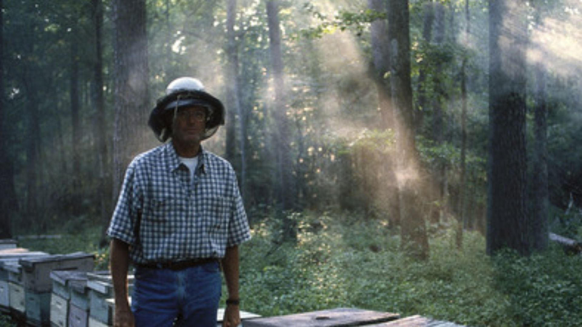 File:Peter Fonda in Victor Nuñez's Ulee's Gold.jpg