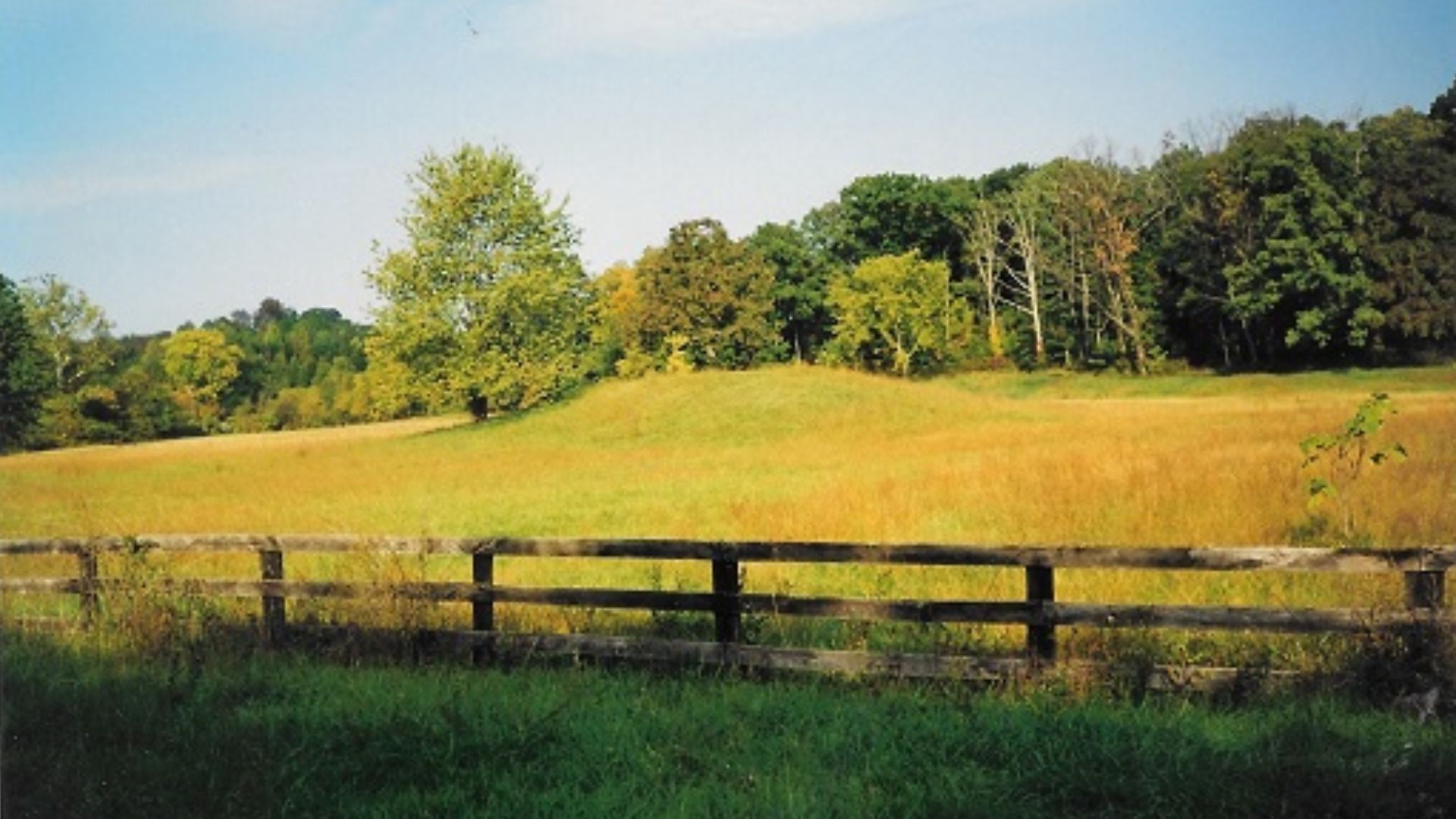 File:Native American Burial Mound of circa 1720s battle between Catawba & Lenape tribes.jpg
