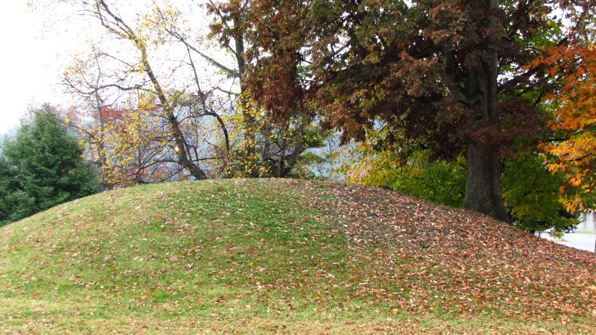 File:Ut-ag-farm-mound-tn1.jpg