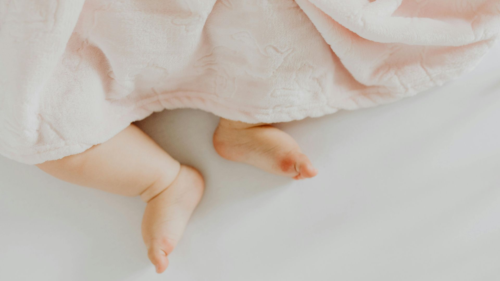 Karolina Grabowska www.kaboompics.com