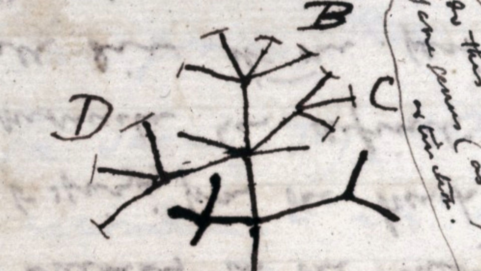 File:Darwin Tree 1837.png