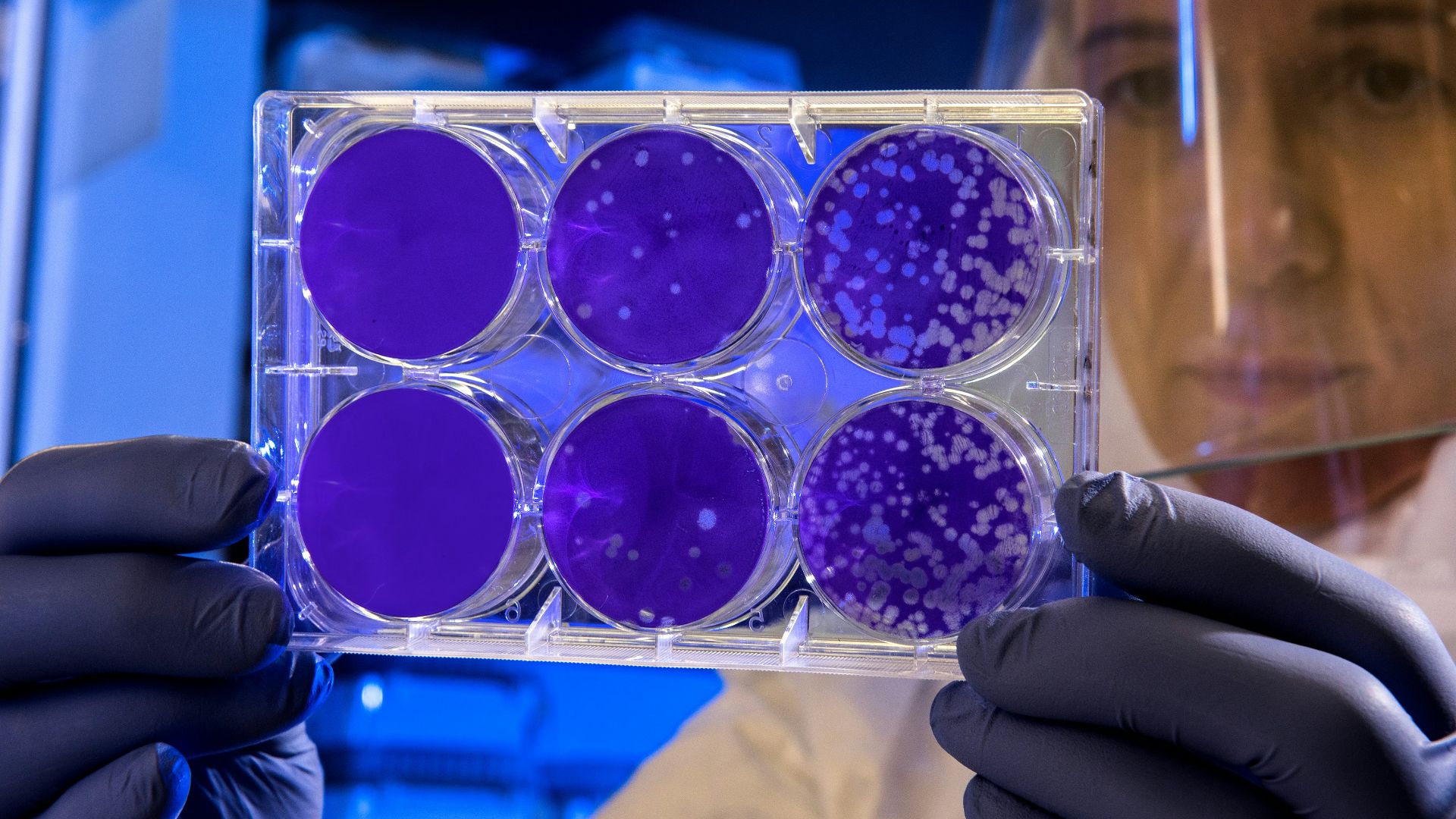 woman holding laboratory appratus