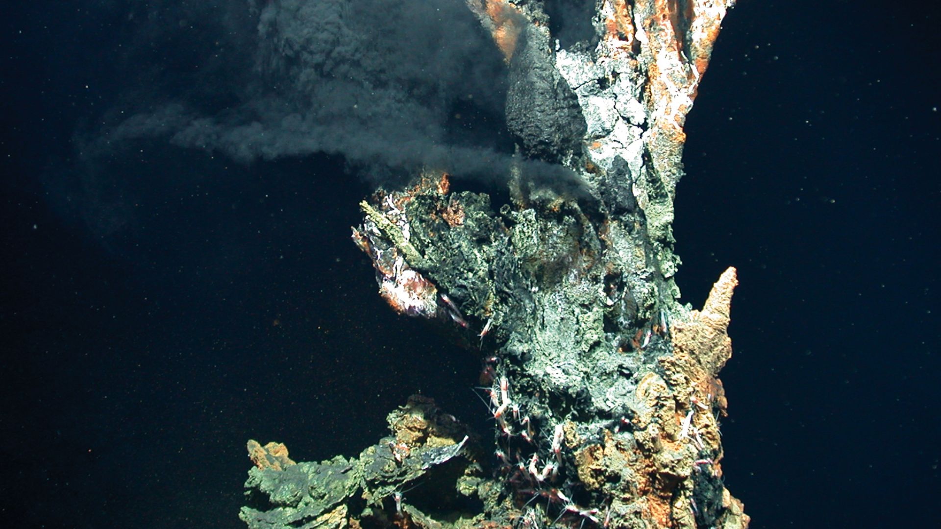 File:MARUM Schwarzer Raucher.jpg