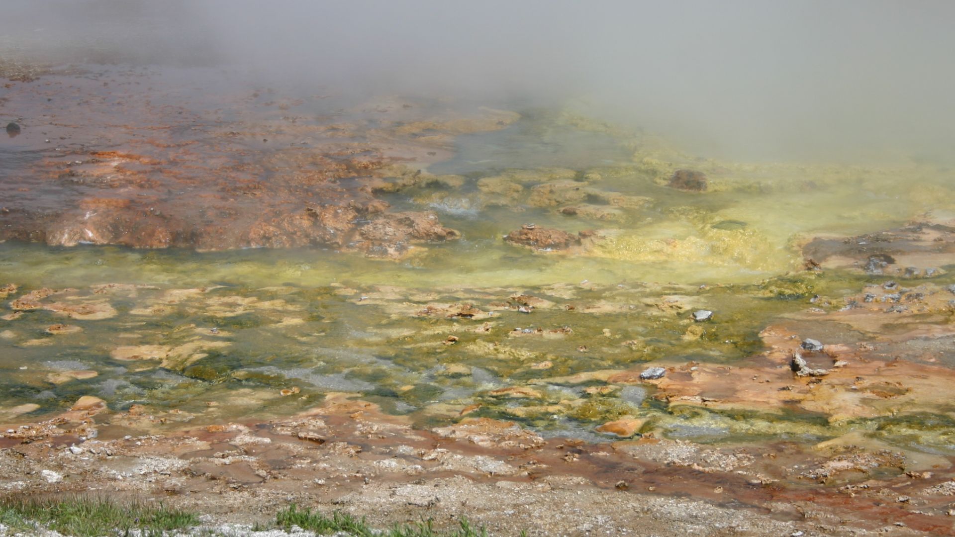 File:Colourful Thermophilic Archaebacteria Stain in Midway Geyser Basin.jpg