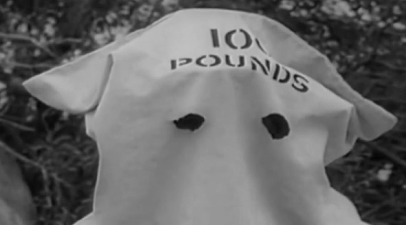 Screenshot of Black Bart (Arthur Space) robbing stagecoach - from Stories of the Century (1954-55)