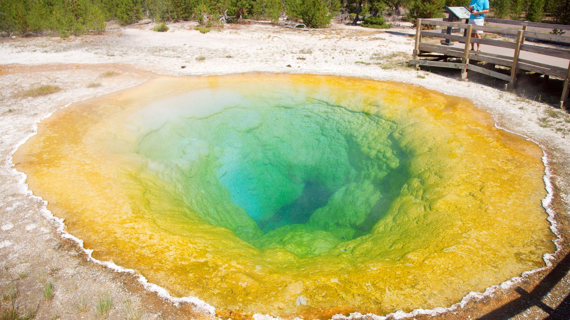 File:Morning Glory Pool Yellowstone National Park.jpg