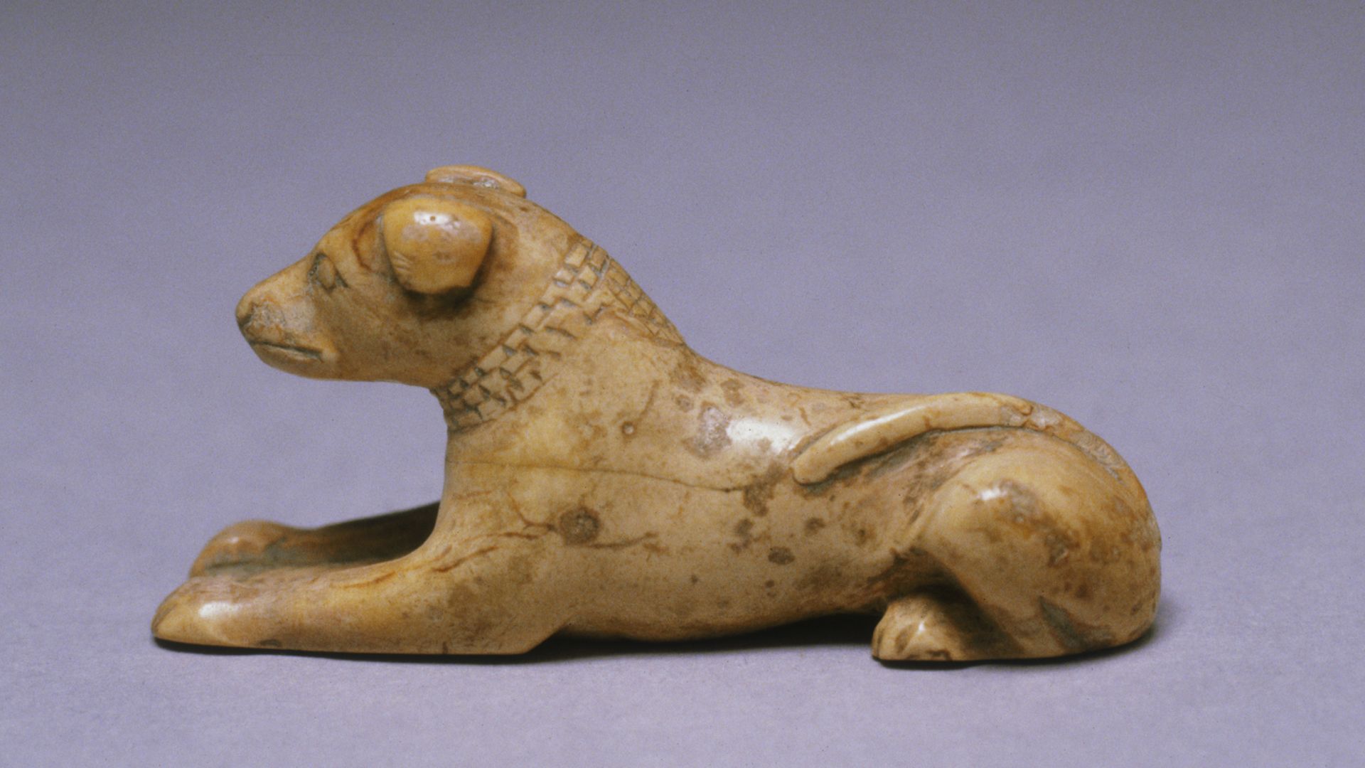 File:Egyptian - Dog Game Piece - Walters 71622.jpg