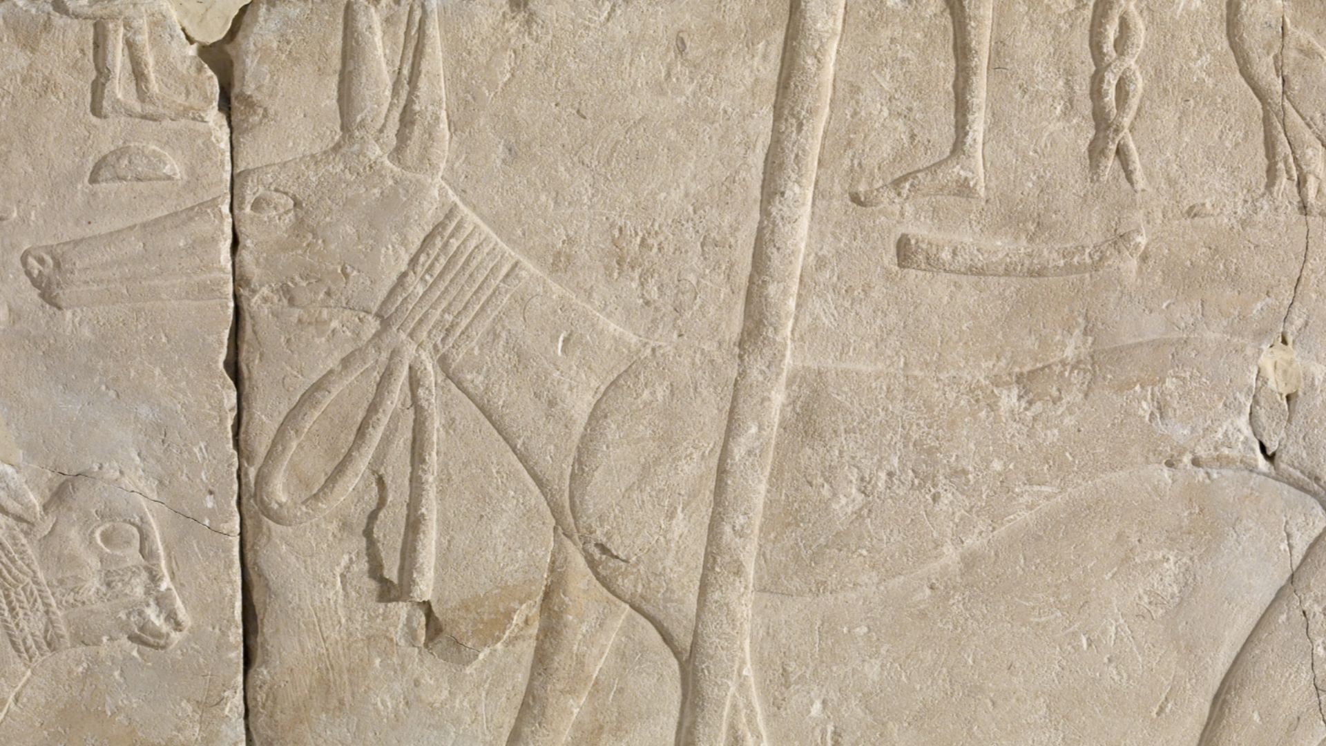 File:Egyptian - Man with Calf and Dog - Walters 22422 - Detail B.jpg
