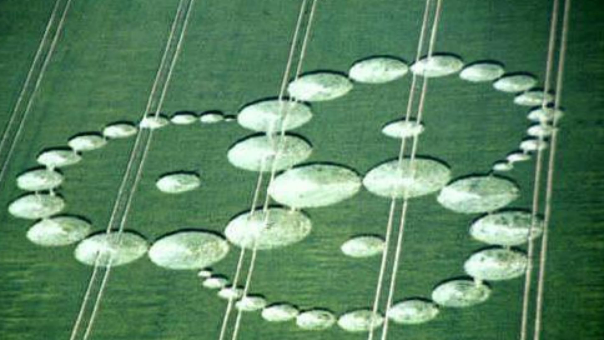 File:CropCircleSwirl.jpg