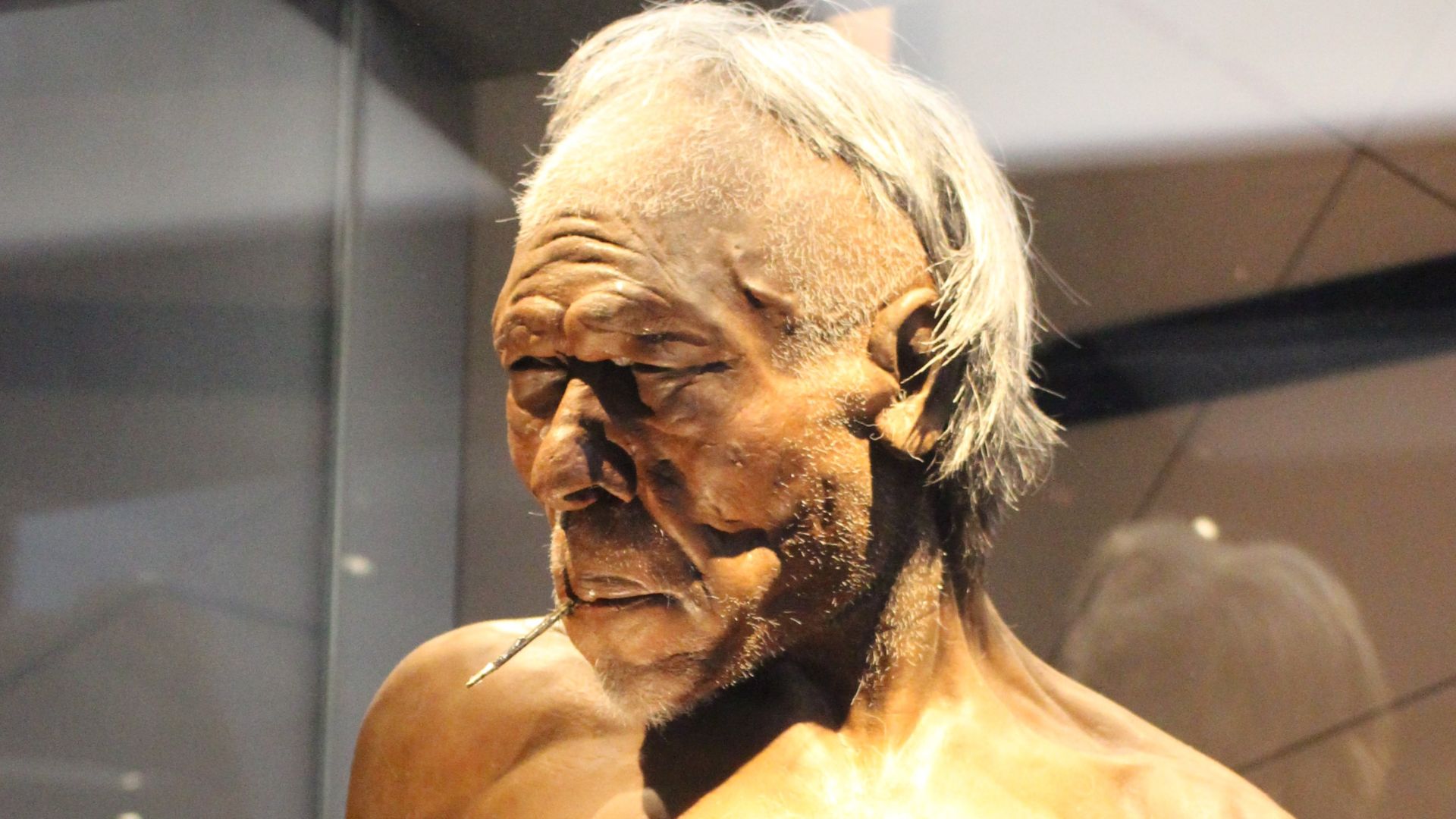 File:Em - Homo sapiens man model - 3.jpg