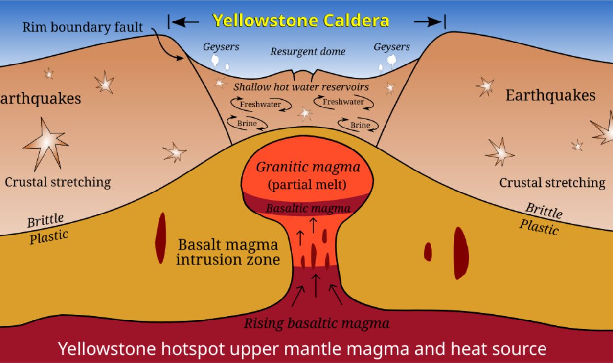 Northeast Activity Shift